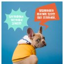 개인화물2024 이미지