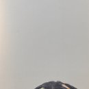 약산미용실 - 고양시 일산동구 | 약산미용실