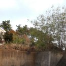 미단시티부동산공인중개사사무소 이미지