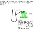 G2759 Daum카페