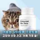 토루 | 고양이 신장 영양제 고민 끝! 야옹섬 닥터토루 프로토콜 솔직 후기