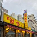 서울 신당역 곱창거리 맛집 땡초곱창 가성비 야채곱창 내돈내산