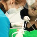 흰치과의원 이미지