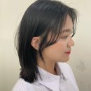 이비스헤어본점