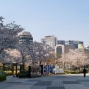 동천2호 네이버블로그