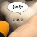 명륜종합사회복지관 | 🌍 명륜종합사회복지관 지구상점에 기부하고 왔어요! 아이디어스작가일상 공방일상