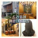 [부산/해운대 미용실] 염색맛집♡ 드라포레 해운대비치점에서 애쉬염색 솔직후기!