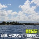 세부 모알보알 다이빙 투어 클럽하리 시설 &amp; 밥 리뷰( VR사진)