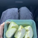 꿀꿀이네 연탄 | 벌집 칼국수/장칼국수 맛집/두딩/두부푸딩/꿀꿀이네 연탄돼지갈비/현지인맛집/속초중앙시장/코끼리분식...