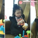 뱅뱅진주