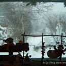 허브목장 이미지