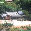 지리산구절초영농조합법인 이미지