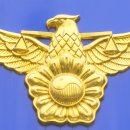 주정차단속-38 이미지