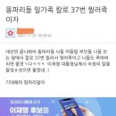 개딸들, 김남국 비판 청년정치인 ‘단톡방’ 불러 집단 괴롭힘 이미지