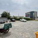 자인반점 이미지