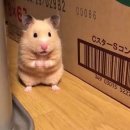 연담원 이미지