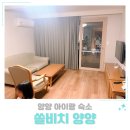 선사유적로 | 양양 아이랑 숙소 쏠비치 양양 스위트 스탠다드 두가족 숙박 조식 후기
