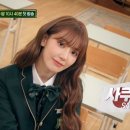 사쿠라 이미지