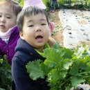 재영농장 이미지