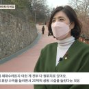 개미공원 이미지