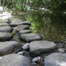 곰배령끝집 이미지