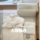 하라 | 은평구 신부관리 스파하라(Spahara) | 페이셜 수분테라피 후기