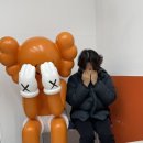 완플반플