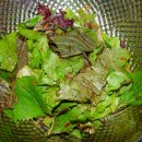 추억의껍데기 이미지