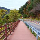 오동1교 이미지