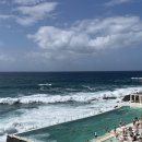 (주) 씨푸드락 | 5일차 (아이스버그 수영장, 본다이비치, Trattoria, 하버프론트 씨푸드 레스토랑, 하버브릿지 건너기)