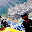 강철 용인대 태권도장 이미지