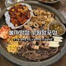 수원 망포역 생막창 양념막창 맛집 봉자막창 수원망포점 웨이팅 봉자한판 후기