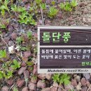 구로남초등학교 이미지