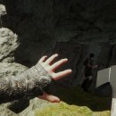 더 포레스트 이미지