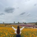 팜푸드코트(농협경제지주(주)안성팜랜드) | 농협 안성팜랜드 아기랑 핑크뮬리, 코스모스 명소: 푸드코트, 전동 자전거, 유모차, 입장권 할인 알아보기