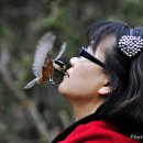 단혜 이미지