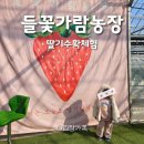 들꽃가람 이미지