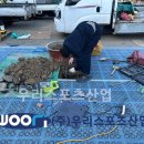 성일중학교 이미지