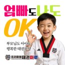 프리미엄 태권마루 태권도장 이미지