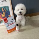 퍼피플랜 | 강아지 사료 추천 닥터베토레 퍼피네이처 플랜 급여후기