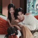 전*대 | 裴先生，凑个婚 (배선생, 주개혼) 란란&대고정 후기