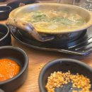성산 돌담애 흑돼지/ 성산일출봉 근처 맛집/ 성산 근처 고깃집/ 섭지코지 근처 맛집 //내돈내산 후기