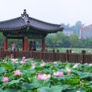 전주여행 가볼만한곳 연꽃으로 유명한 전주덕진공원 이미지