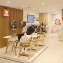 골든버터플라이 | 스토케 트립트랩 가격 인상 2026 확정! 2월 27일부터 최대 91만원 (부가부·싸이벡스 포함)