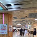 지하상가 만남의광장 | 대전 지하상가 사주타로 | 소름 돋았던 디바인 사주타로 종합 상담 솔직 후기