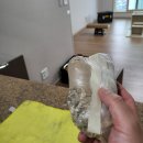 마루약품(주) 이미지