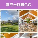 대영골프 이미지