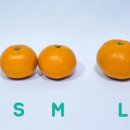 달.프룻 이미지