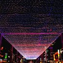 해운대거리 이미지