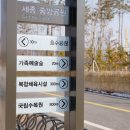 연기면_세종중앙공원(중앙)공터 이미지